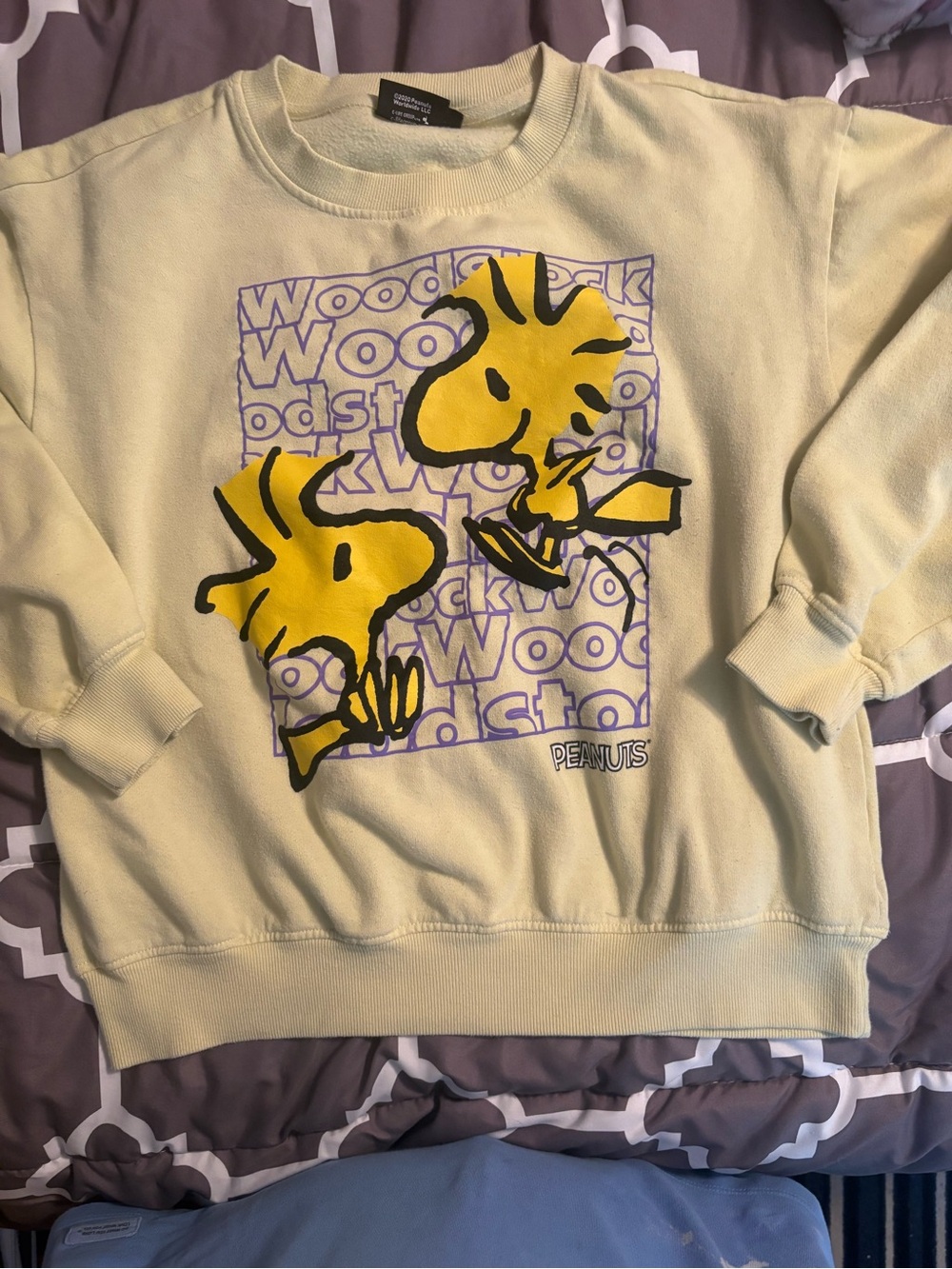 Peanuts Woodstock Graphic Crewneck Sweatshirt- Pale Yellow